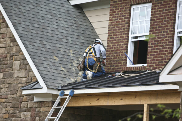 Palm & Pineapple Roofing