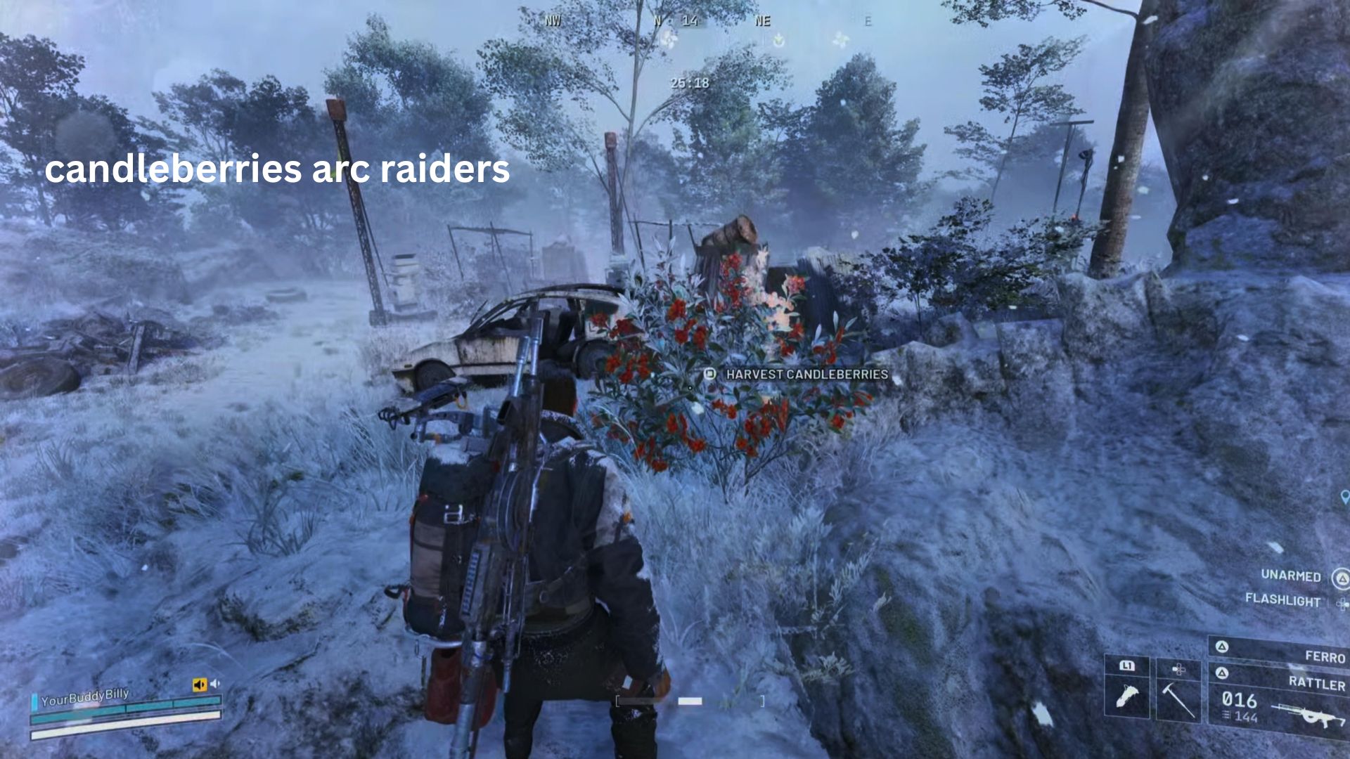 candleberries arc raiders