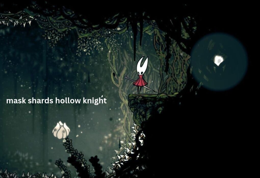 Mask Shards in Hollow Knight