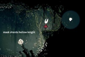 Mask Shards in Hollow Knight